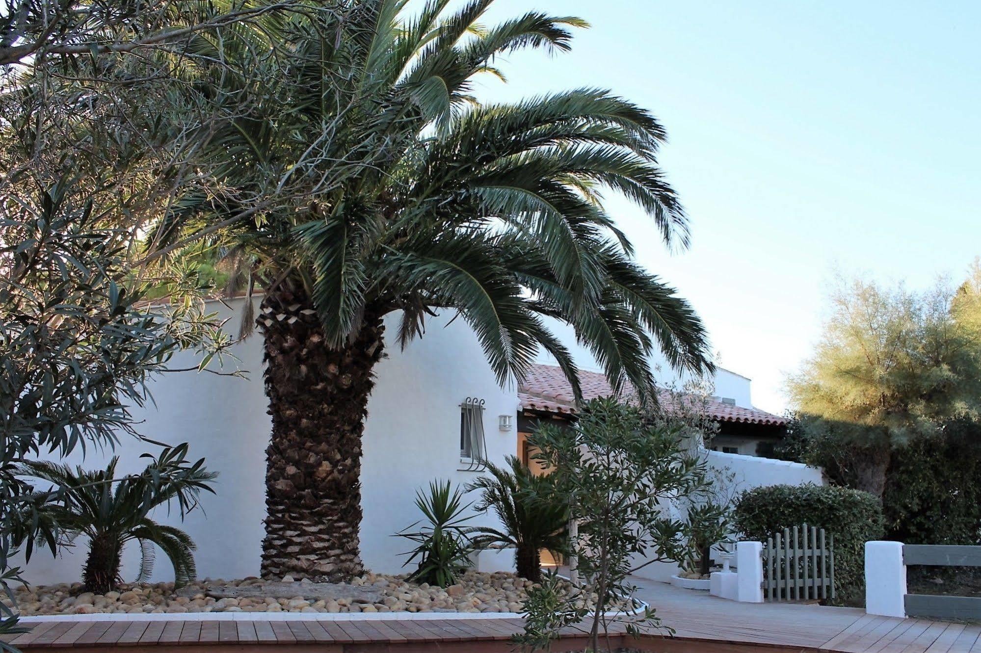 Mas Des Rieges & Spa Saintes-Maries-de-la-Mer Buitenkant foto